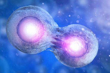 VITAMIN cho Trẻ Bại Não (CP)