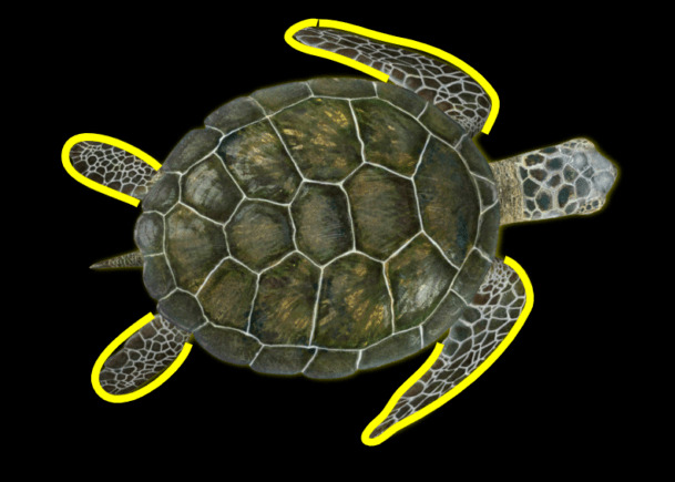 Screenshot-2019-06-03-at-10.24.07-PM-e1559615105489