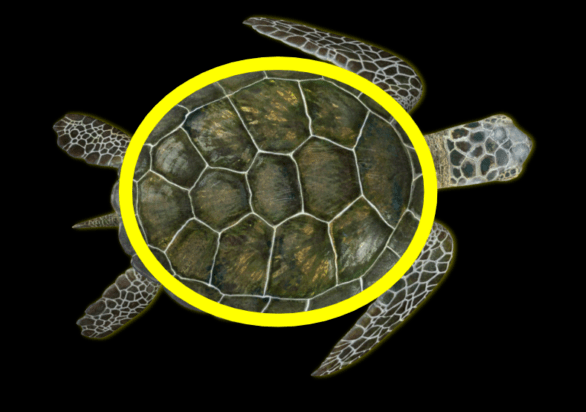 Screenshot-2019-06-03-at-10.29.01-PM-e1559615447710