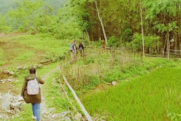 Sức khoẻ tâm thần & Chứng Bại não (CP)